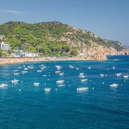Awesome In With Wifi * Tossa de Mar